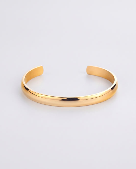 Arielle Thick Bangle Titanium Steel Bracelet
