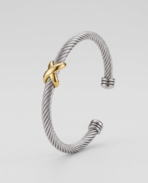 L'umeire Twisted Bangle Bracelet In Two-tone Settings Unisex