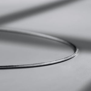 Bnox Snake Chain Titanium Steel Silver Men Necklace